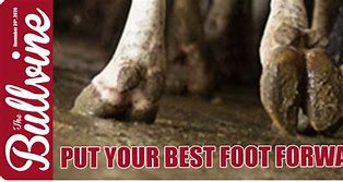 put your best foot forward